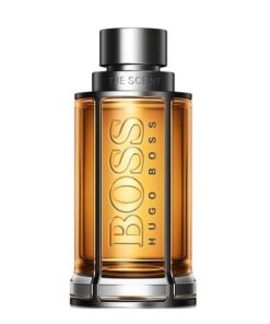 عطر ادکلن هوگو بوس د سنت مردانه | Hugo Boss The Scent