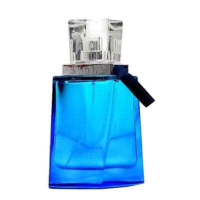 عطر ادکلن رمی مارکویس شالیز مردانه | Remy Marquis Shalis for men