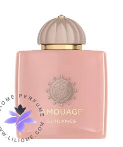 Amouage Guidance